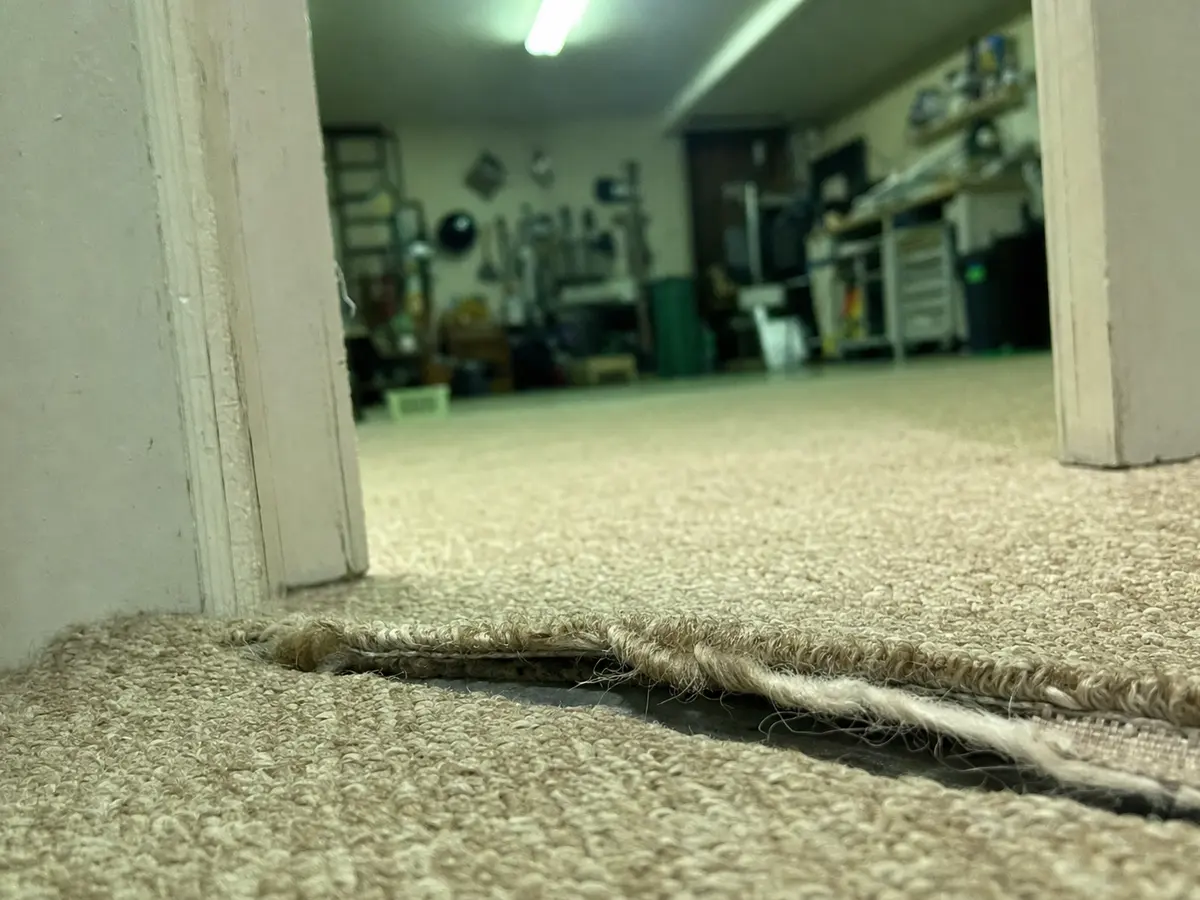 Carpet Repair in Van Nuys, CA