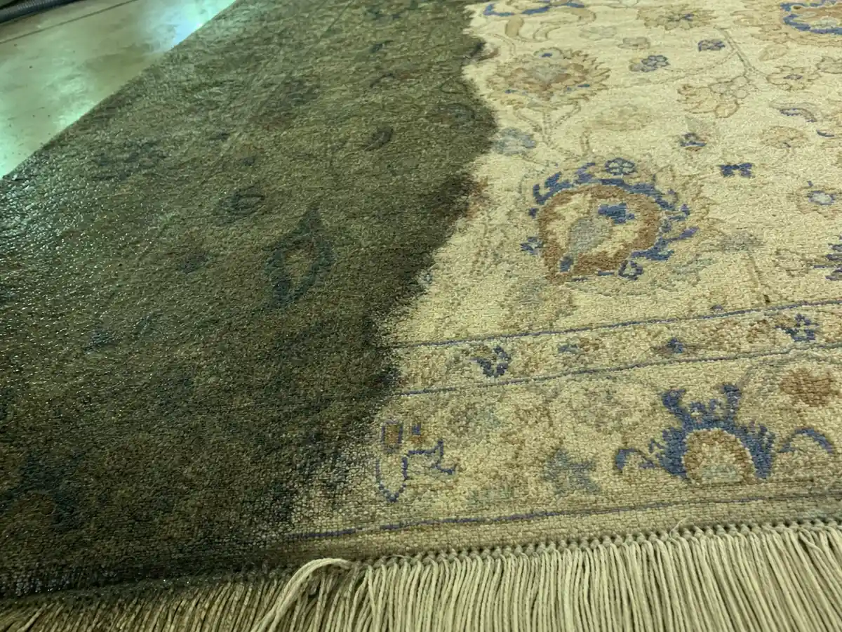 Rug Cleaning in Van Nuys, CA